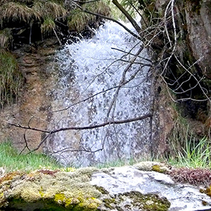 small cascade in Switzerland falling behind a rock with colorful lichens and moss upon it.