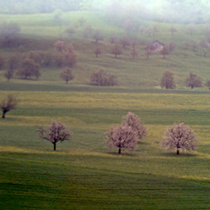 Swiss countryside south of Basel