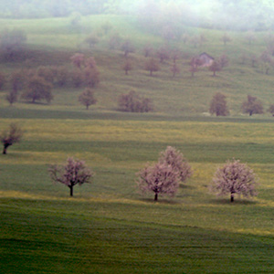 Swiss countryside south of Basel