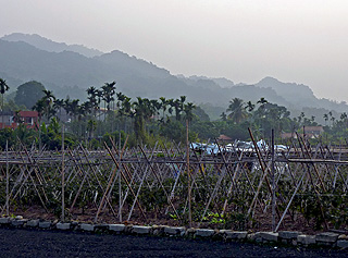 Creative Commons Copyright photograph