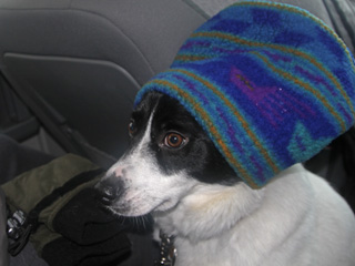 One of our photographs from our travels in 2010