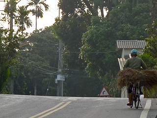 One of our photographs from our travels in 2010