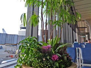 December 2010 photograph in Taiwan