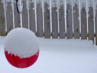 Snow sticking to the fence and piled on top of the red fairy lantern