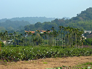 One of our photographs from our travels in 2010