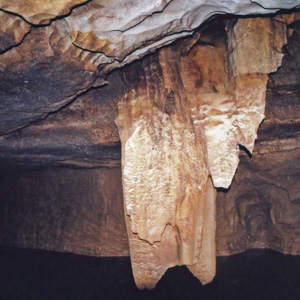 A photo from the November of 2010