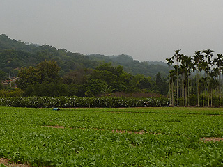 Creative Commons Copyright photograph