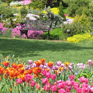 Flowers in the Missouri Botanical Garden