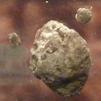 Moon Rock